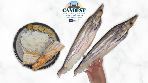 e5d369_0753a0820a5a445fb957c72fe9673f04mv2.png Dried Salted twisted-jaw catfish ងៀត ត្រីកេស ធំ