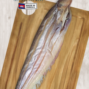 Dried Salted twisted-jaw catfish​ ​ងៀត ត្រីកេស​​ ធំ