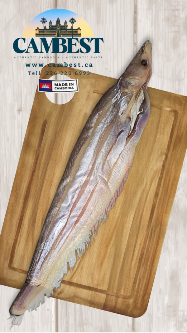 e5d369_468c8a9e6c6e406fb3c5622283356754mv2.png Dried Salted twisted-jaw catfish ងៀត ត្រីកេស ធំ